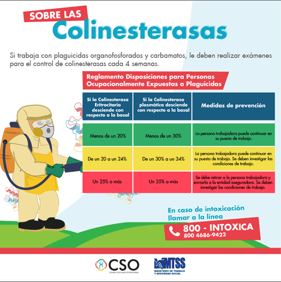 AFICHE SOBRE LAS CLINESTERASAS