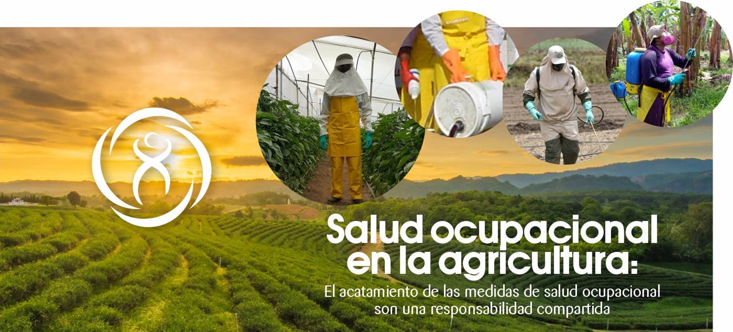 Banner principal Salud Ocupacional en el Sector Agr&iacute;cola, El acatamiento de las medidas de salud ocupacional son una responsabilidad compartida