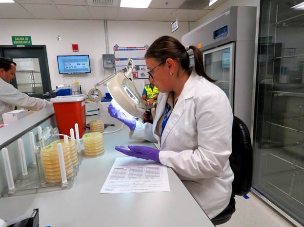 A person in a lab coat looking at a microscope

AI-generated content may be incorrect.